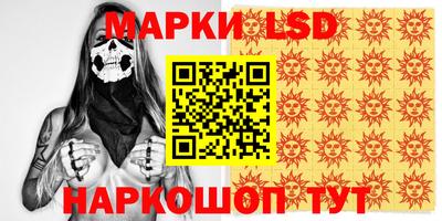 СК Донецк
