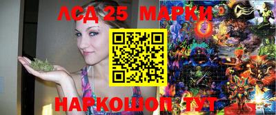 СК Донецк